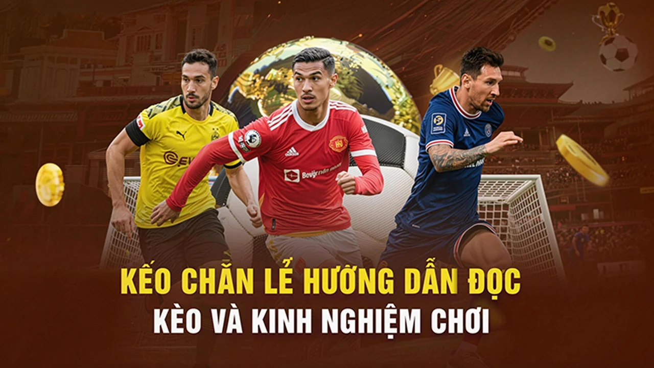 Casino trên PG88 – bước kiểm tra thực tế